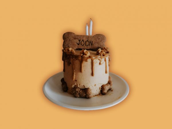 Small round dog cake with caramel drip frosting, topped with a large biscuit on top