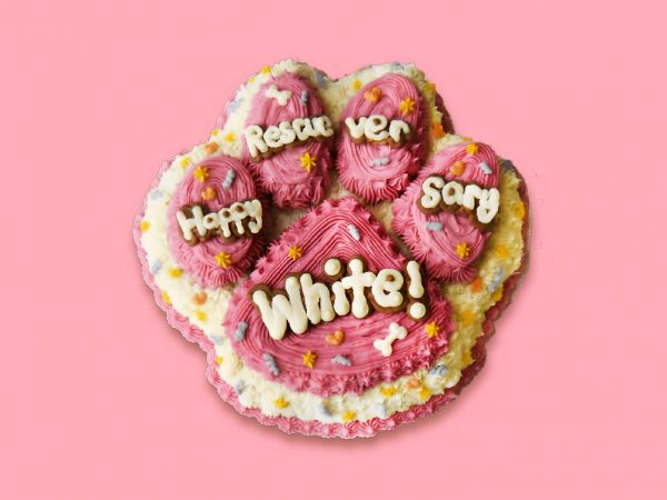 Pink paw-shaped cake with icing and colorful piping for dog