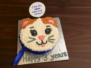 Cat Face Shaped Cake