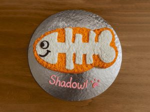 Fishbone Shaped Cat Cake