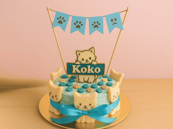 Cat-themed blue cake with "Koko" topper, paw prints, and cat face decorations