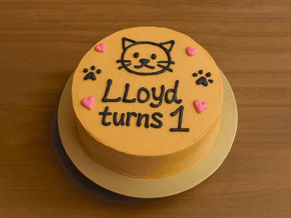 Cat-friendly birthday cake with 'Lloyd turns 1' text and paw decorations