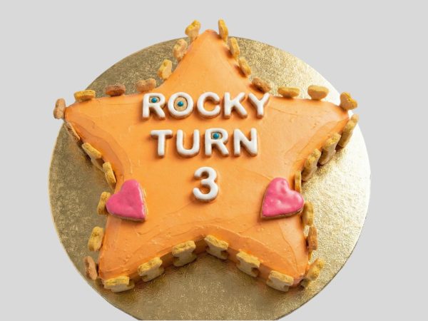 star shaped dog cake