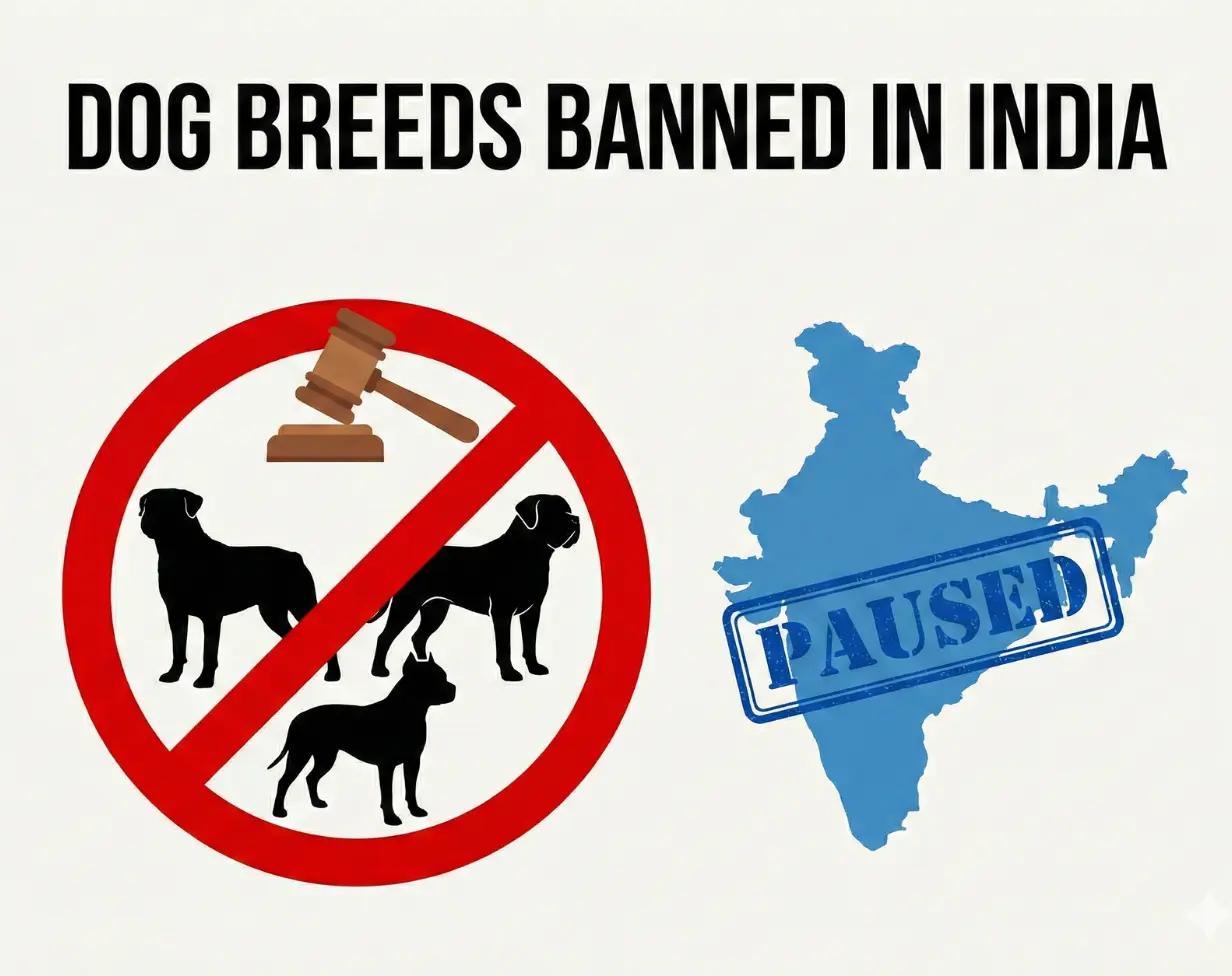 Dog Breed Banned in India Full List + Best Alternatives