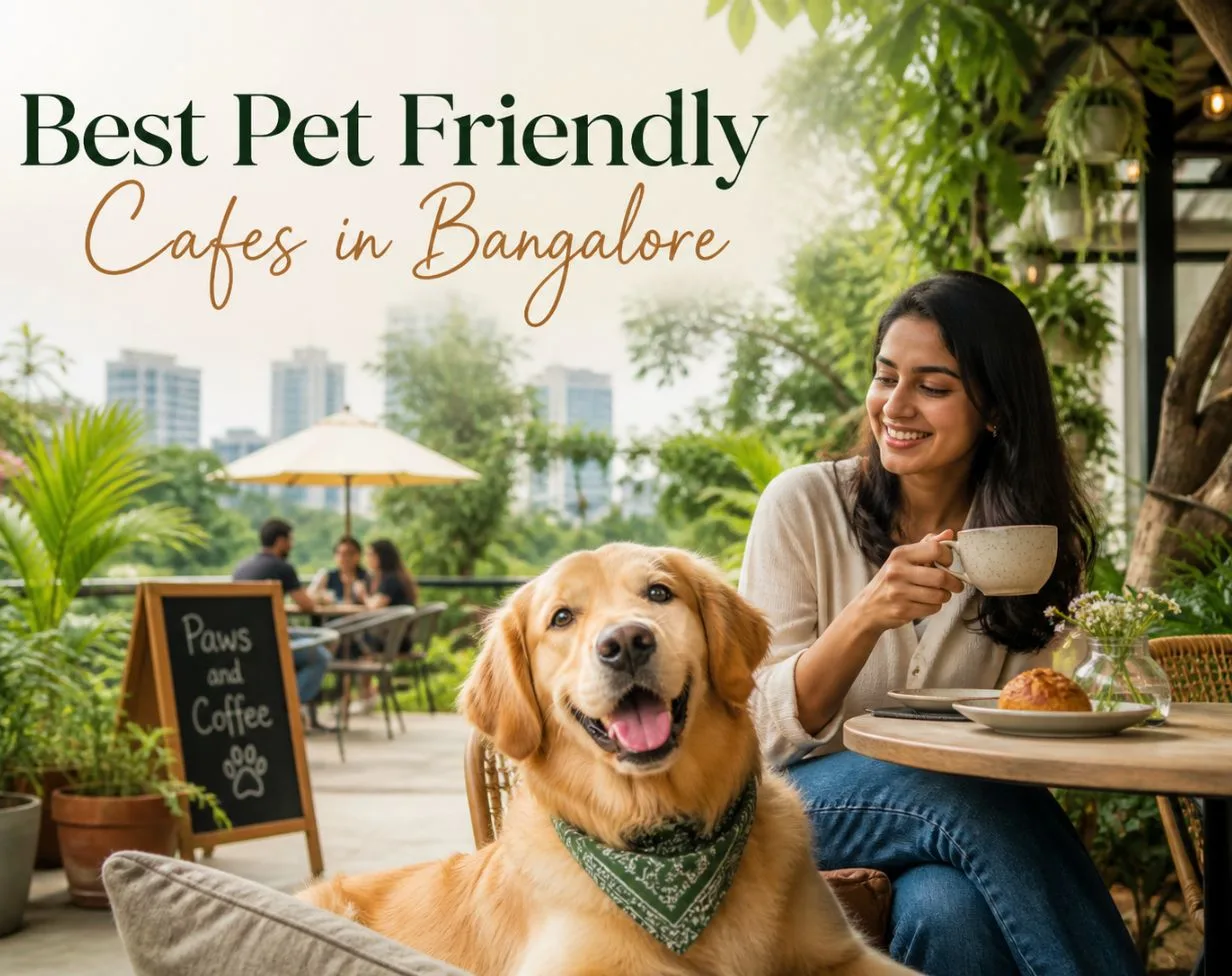 Best Pet Friendly Cafes in Bangalore to Visit with Your Dog